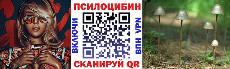 купить наркотики цена Грозный Псилоцибиновые грибы MAGIC MUSHROOMS